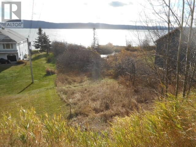 Property Photo:  313 Main Street  NL A0J 1T0 