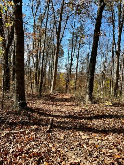 Property Photo: 00 N Grapevine Road WV 25320