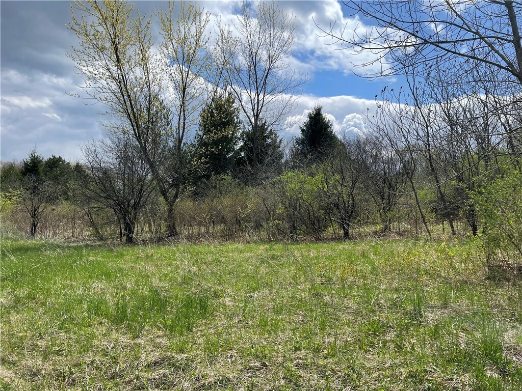 Property Photo:  0 Chicken Coop Road  NY 14886 