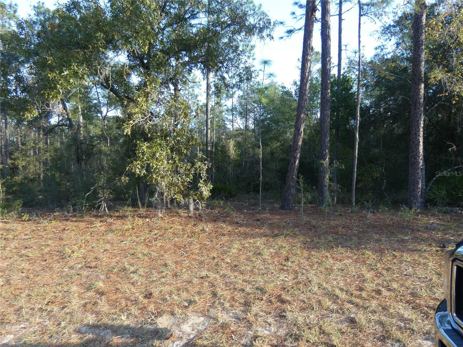 Property Photo:  Lot 31 SW 93 Lane Rd Dunnellon  FL 34431 