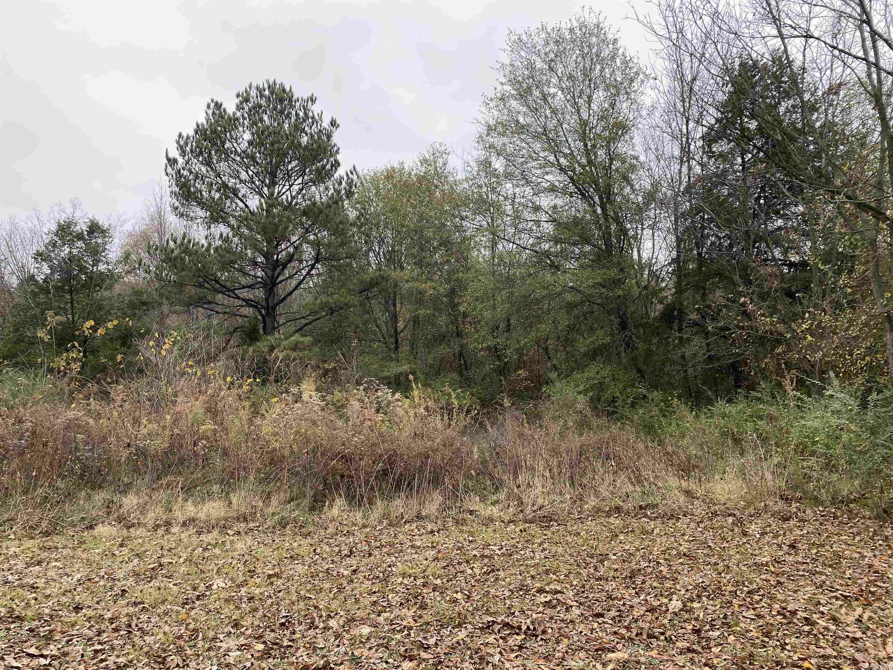 Property Photo:  10094 E Highway 28  AR 72950 