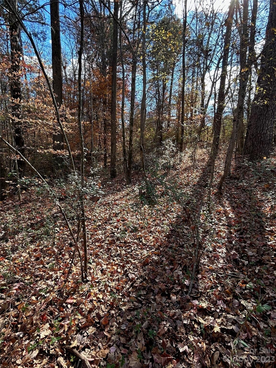Property Photo:  2028 Bess Town Road  NC 28016 