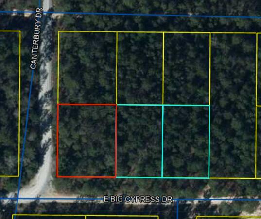 Property Photo:  Lot 19 E Big Cypress Drive  FL 32433 