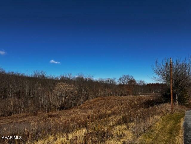 Property Photo:  Lot X 4th Ave  PA 15537 