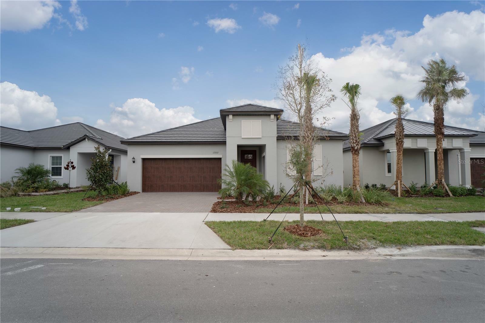 17222 Mango Shay Court  Land O Lakes FL 34638 photo