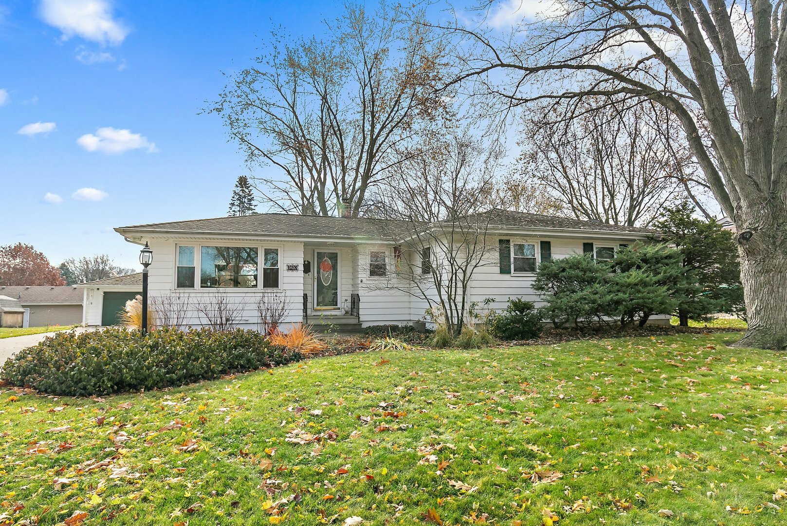 Property Photo:  348 Conlin Avenue  IL 60178 