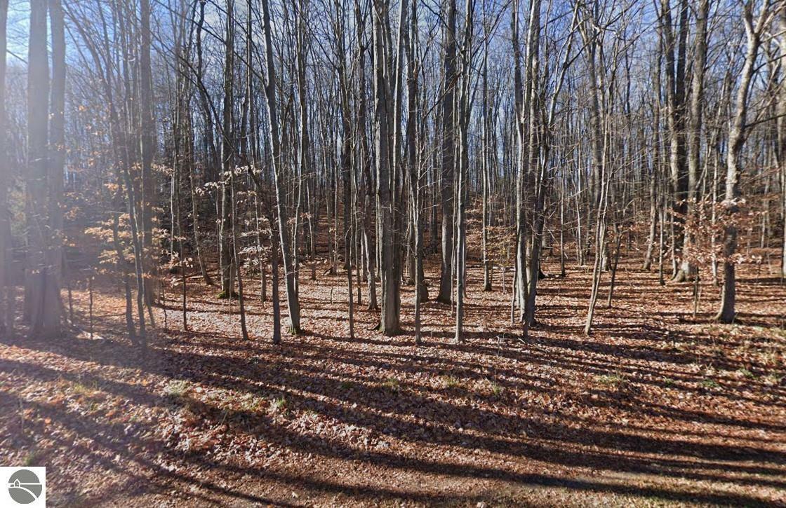 Property Photo: Lot 1152 Michaywe No. 4 Sec 2 T29n R3w MI 49735