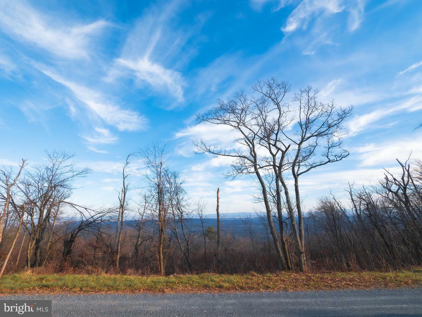 Property Photo:  Lot 112 Rockwood Trl  VA 22602 