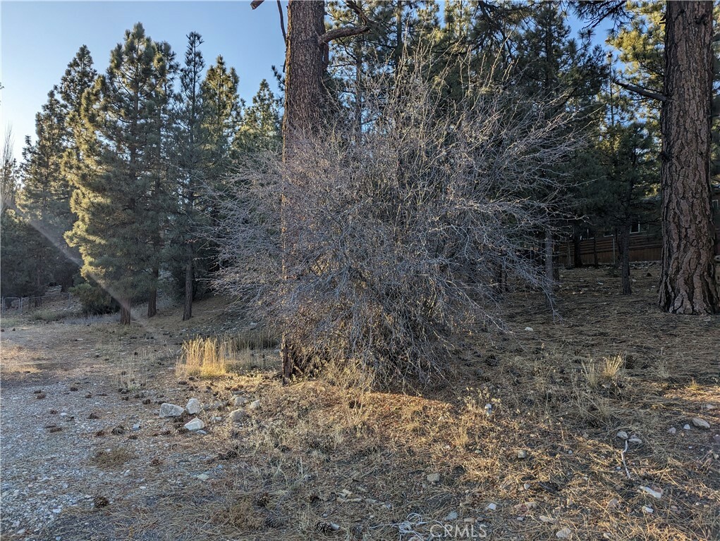 Property Photo: 0 Greenspot Road CA 92314