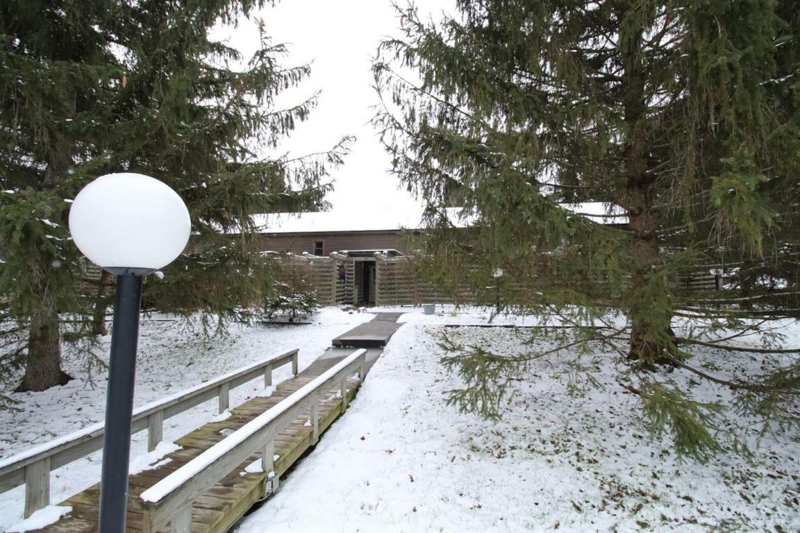 Property Photo:  57 Lois Lane  NY 14850 