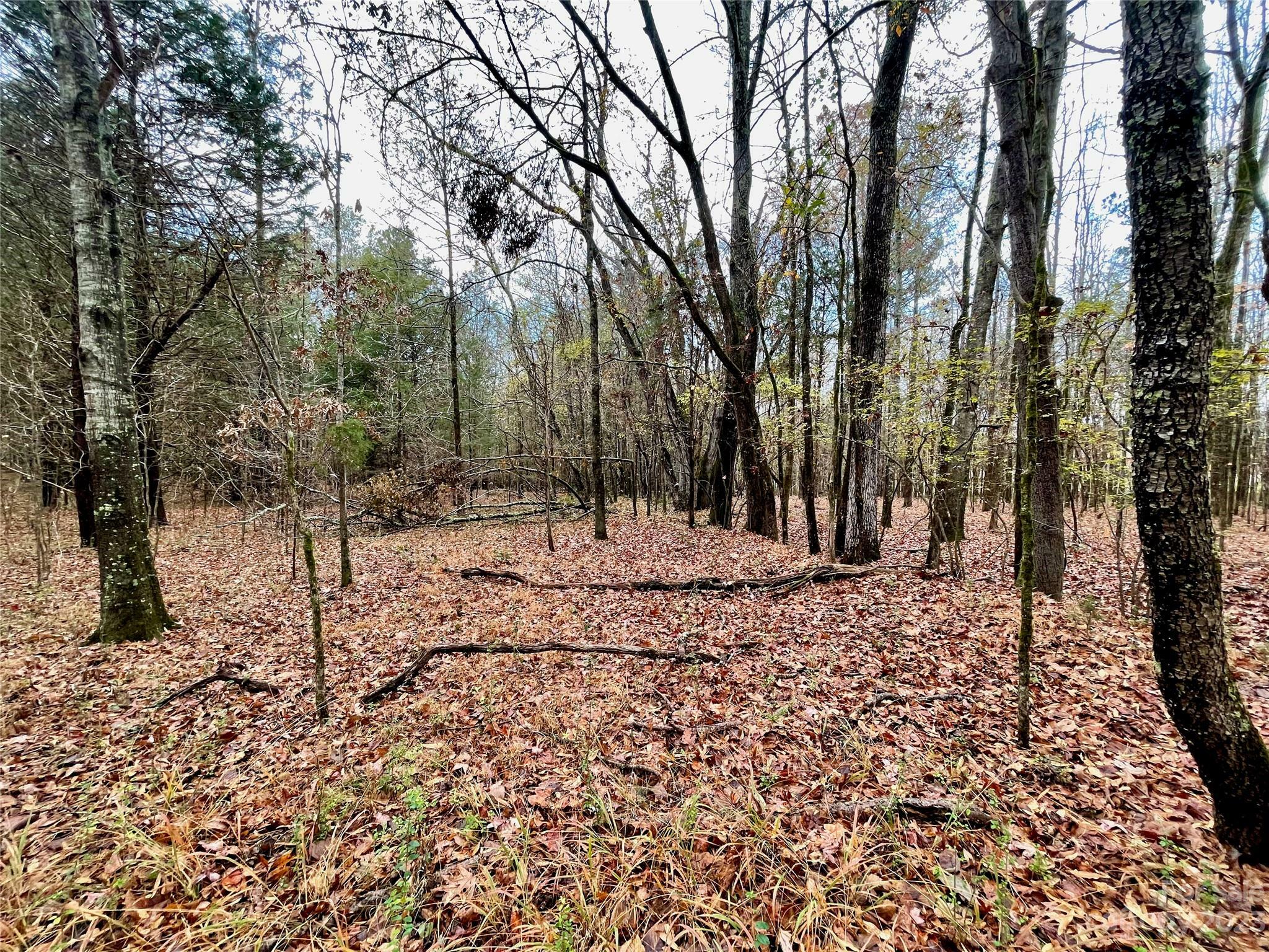 Property Photo: 2234 Corinth Road SC 29340