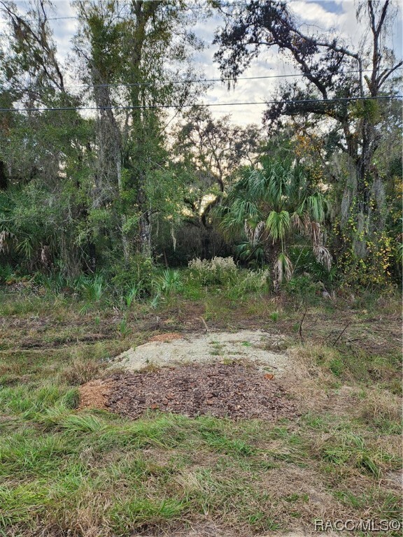 Property Photo:  5274 & 5306 N Suncoast Boulevard  FL 34428 