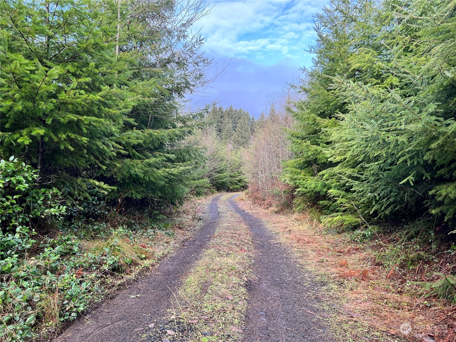 Property Photo:  0 Hwy 101  WA 98537 