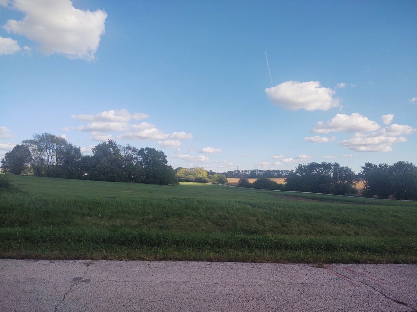Property Photo: Lot 160 Lee Hill Road IL 60541