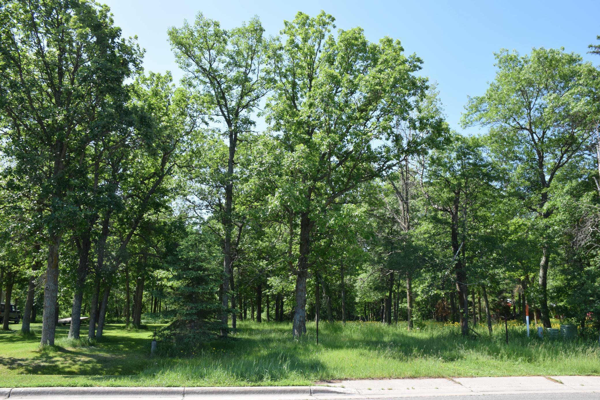 Property Photo:  Tbd Power Dam Road NE  MN 56601 