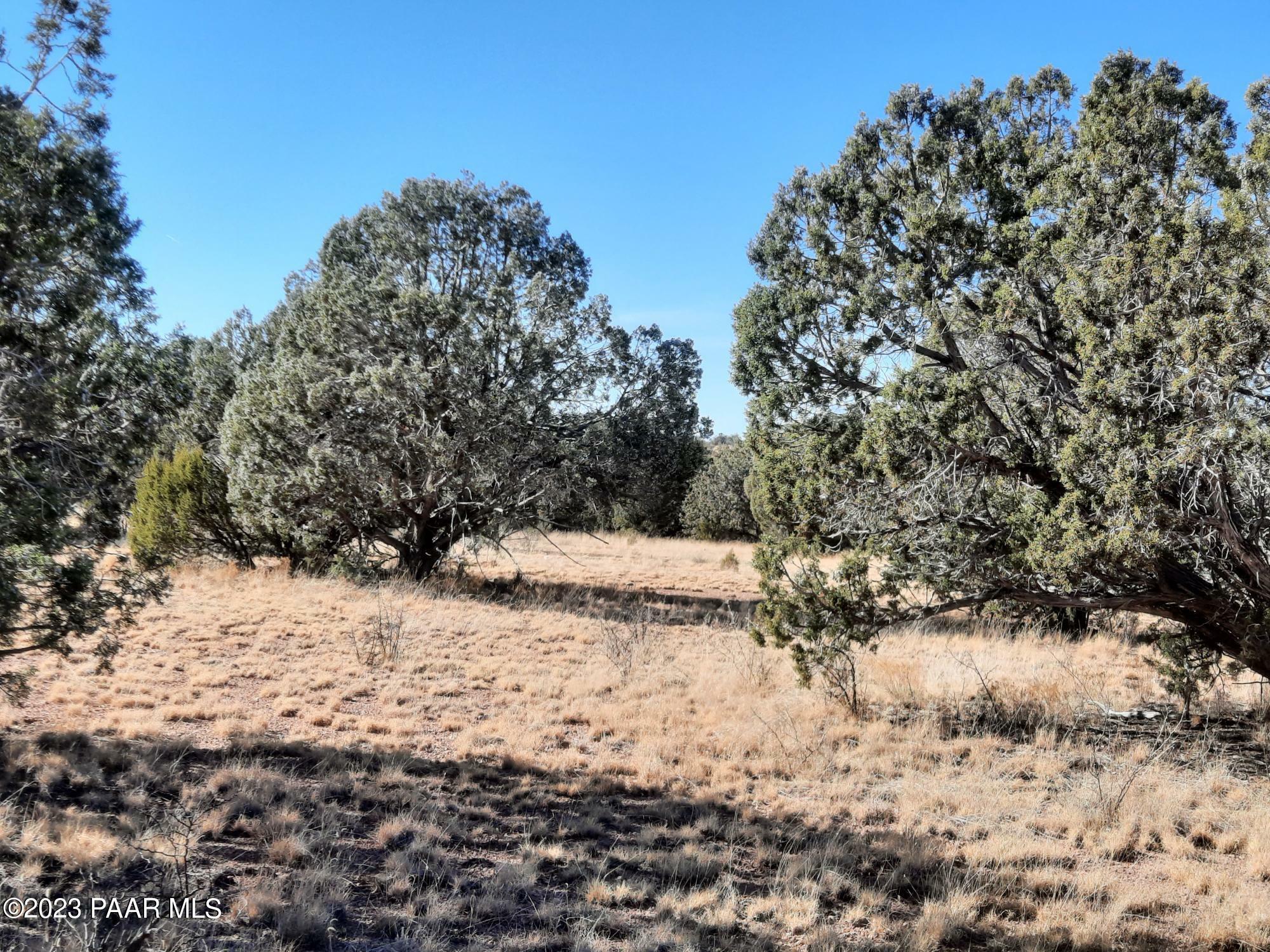 Lot 218 N Kudu Rd  Seligman AZ 86337 photo