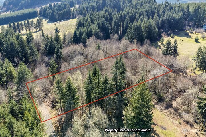 133 Silverthistle Road  Winlock WA 98596 photo