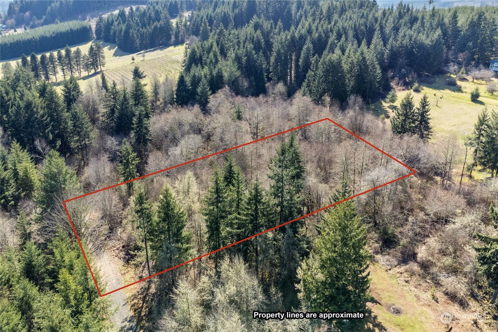 Property Photo: 133 Silverthistle Road WA 98596