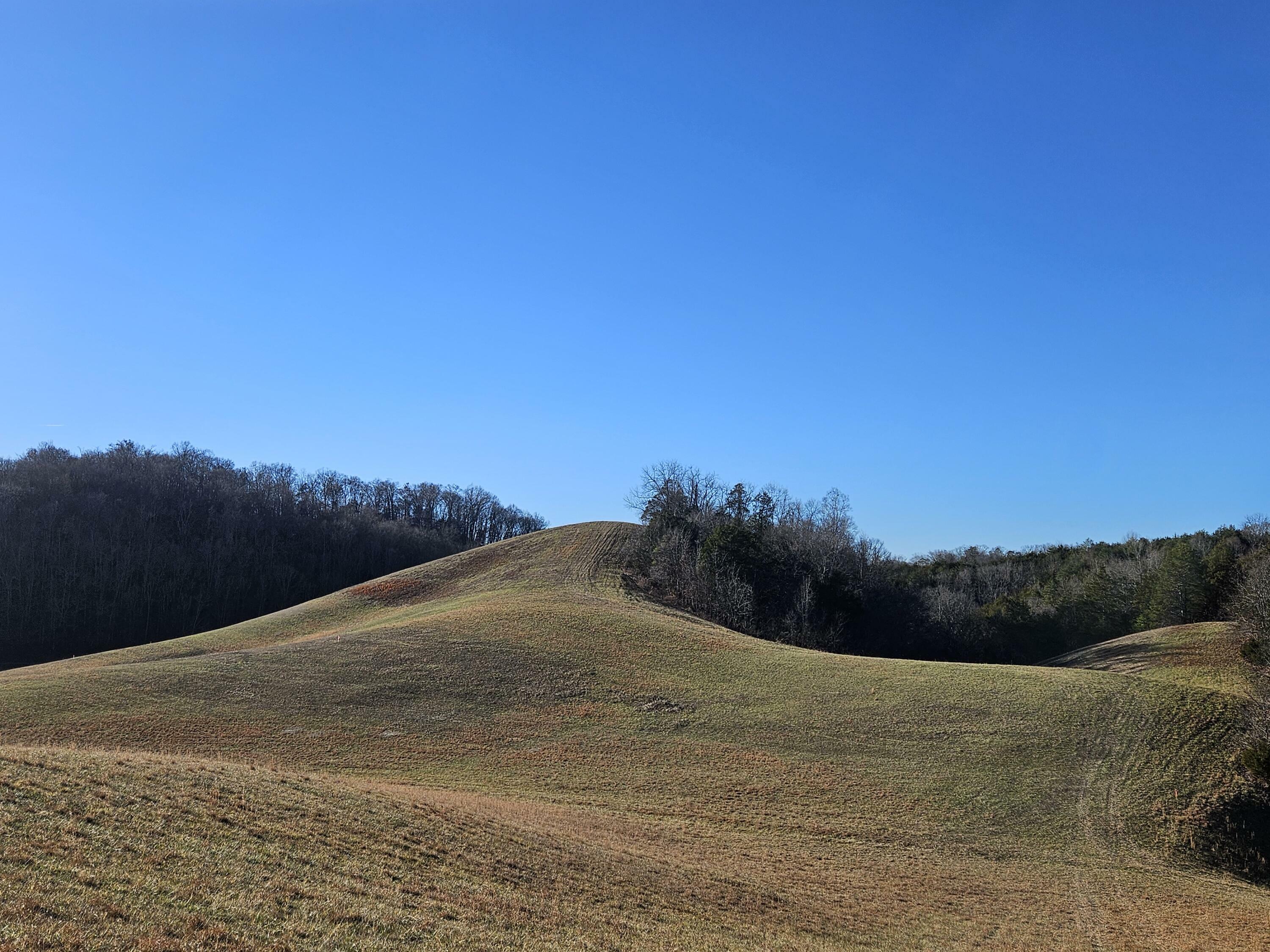 Property Photo:  Tbd Robert Harmon Road  TN 37745 