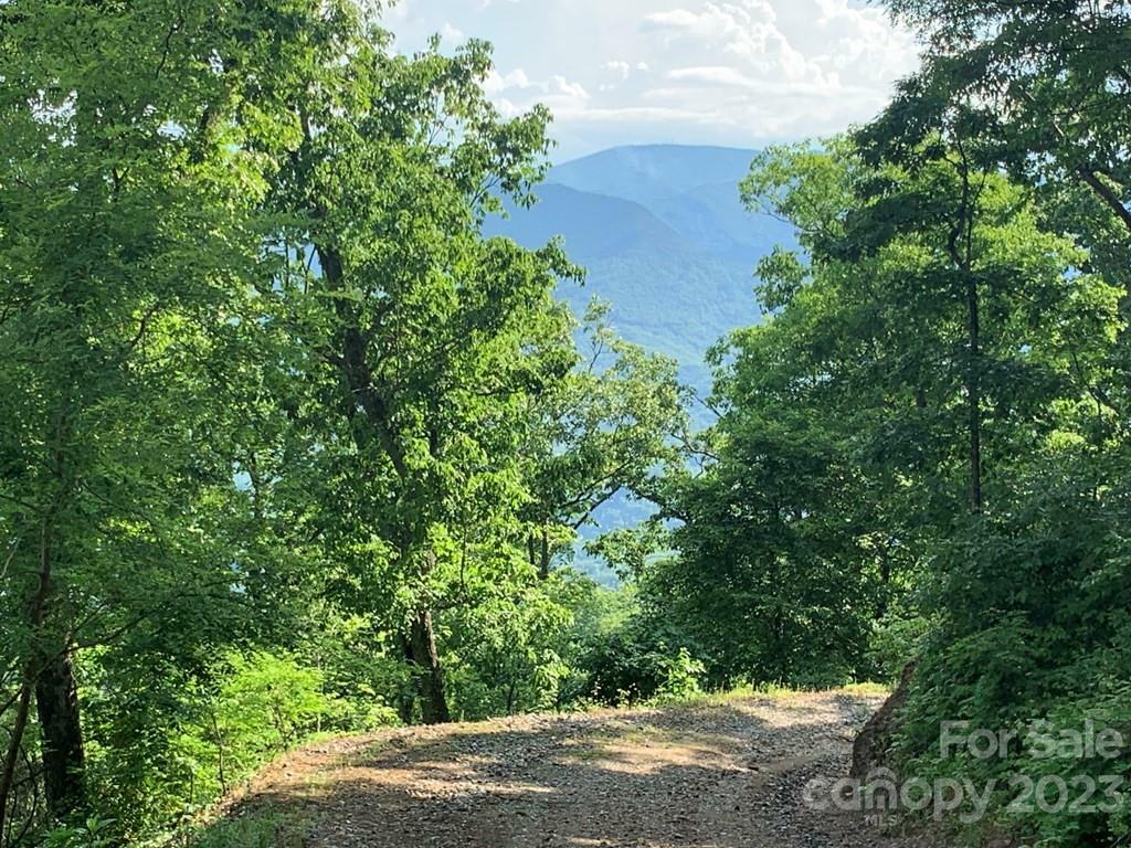 Property Photo: Lot 7 Deep Spring Road NC 28779