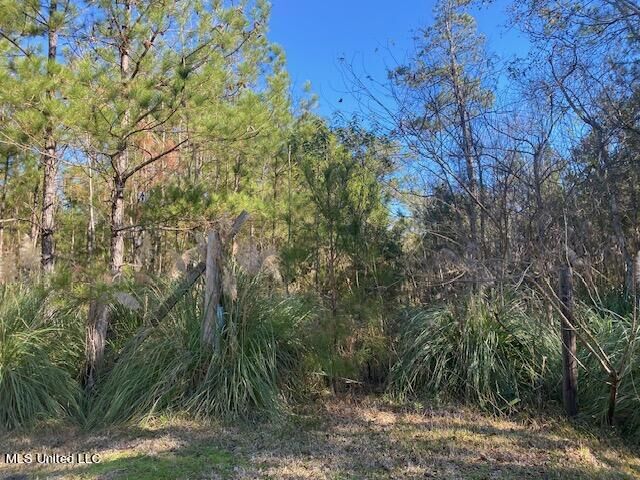 Property Photo:  10074 Bayou Drive  MS 39520 