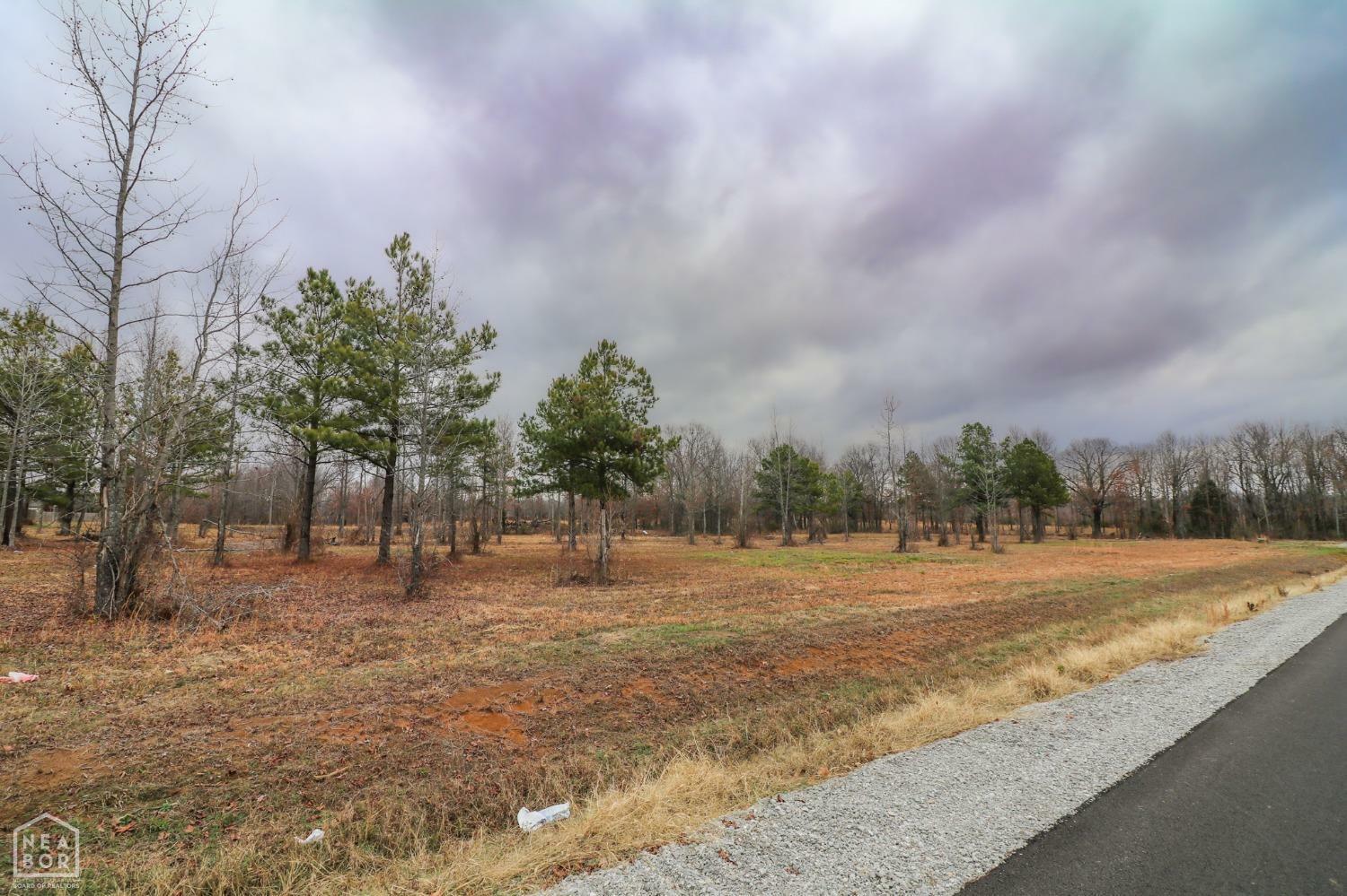 0 Diamond Valley Estates  Jonesboro AR 72404 photo
