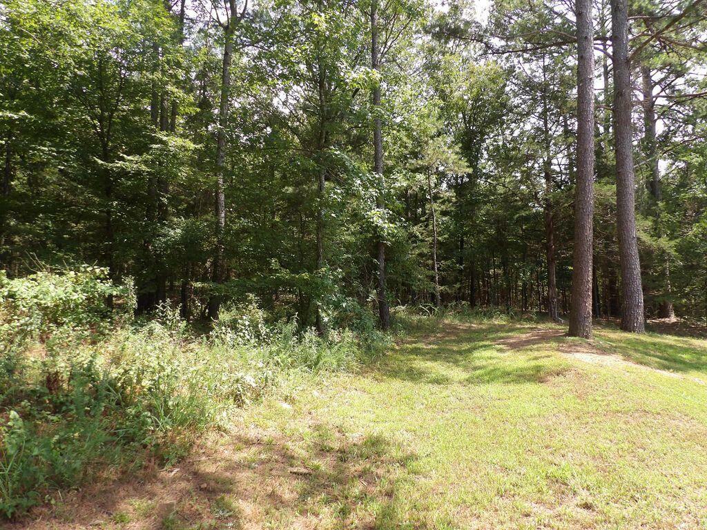 Property Photo:  1608 Co Rd 3594  AR 72846 