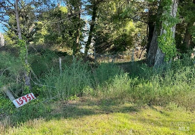 Property Photo:  15951 Meyers Grade Road  CA 95450 