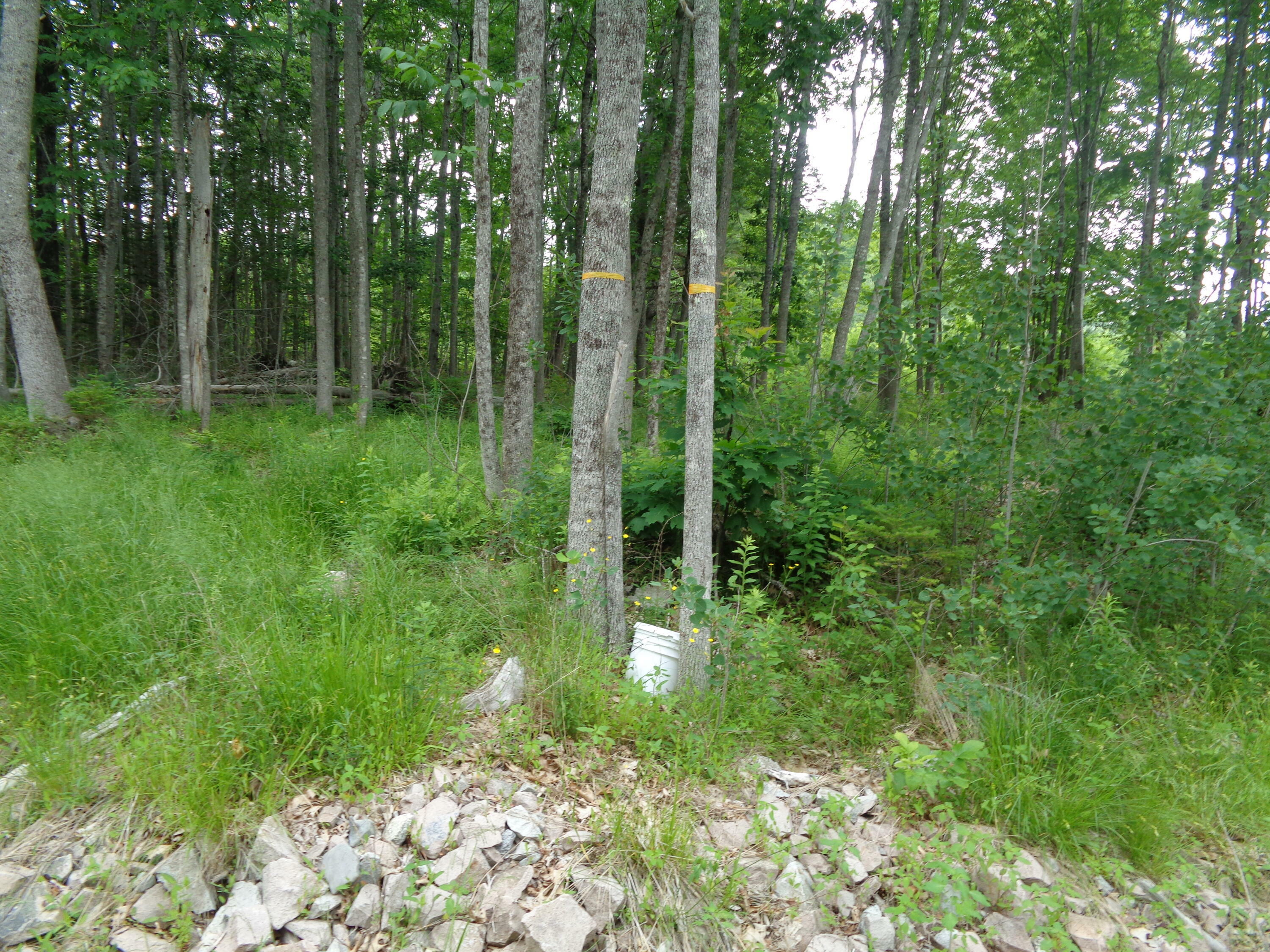 Property Photo:  Lot 5 Manhattan Way  ME 04605 