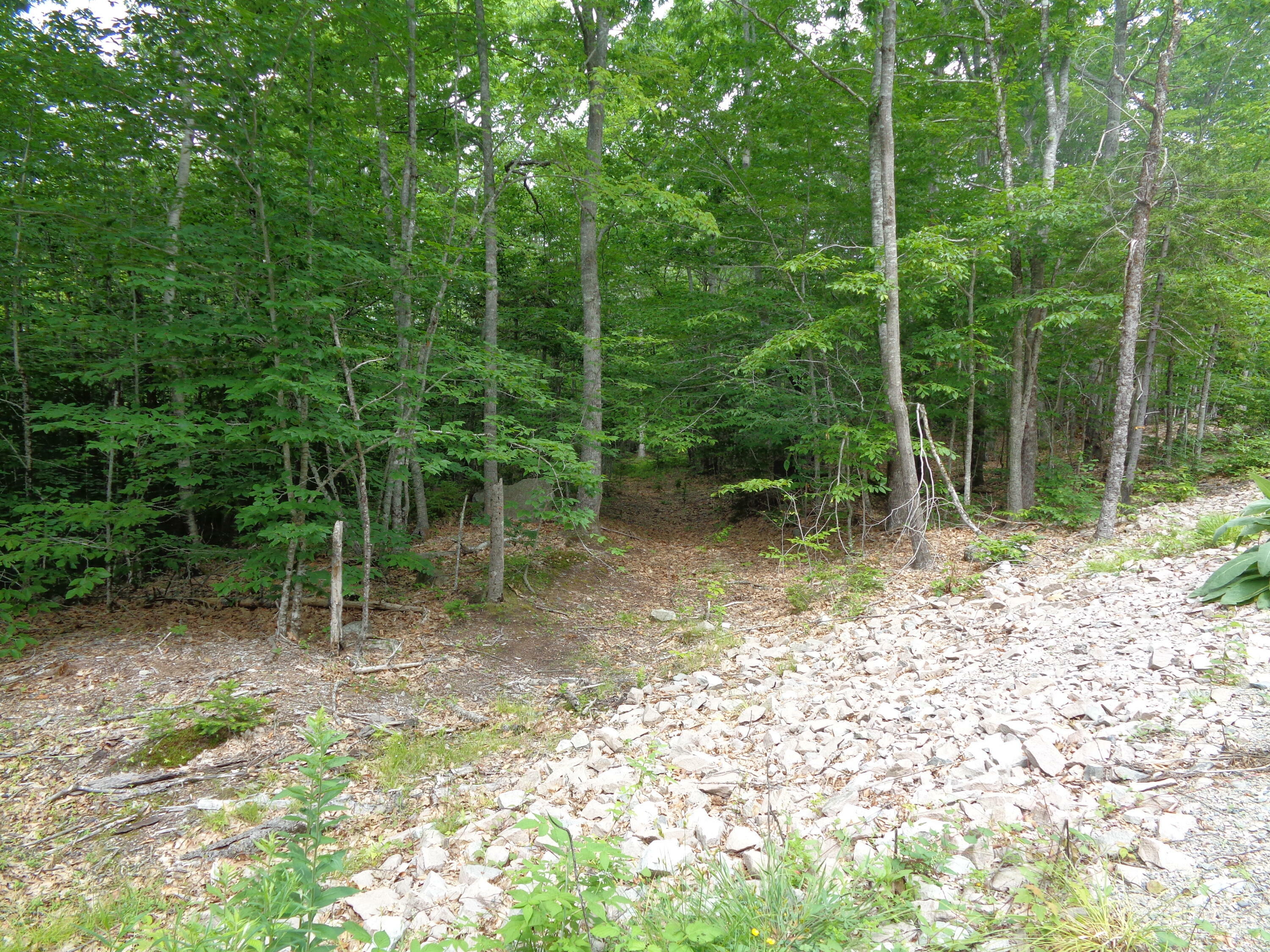 Property Photo:  Lot 6 Manhattan Way  ME 04605 