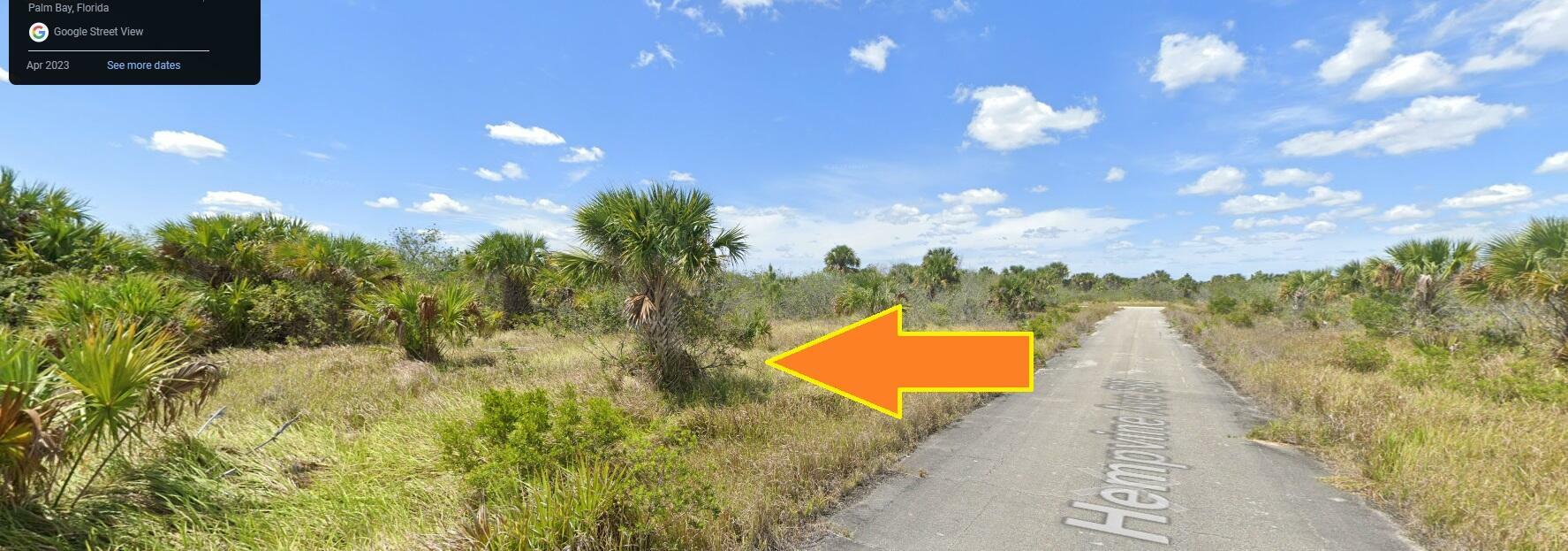 Property Photo:  3118 Hempvine Avenue SW  FL 32908 