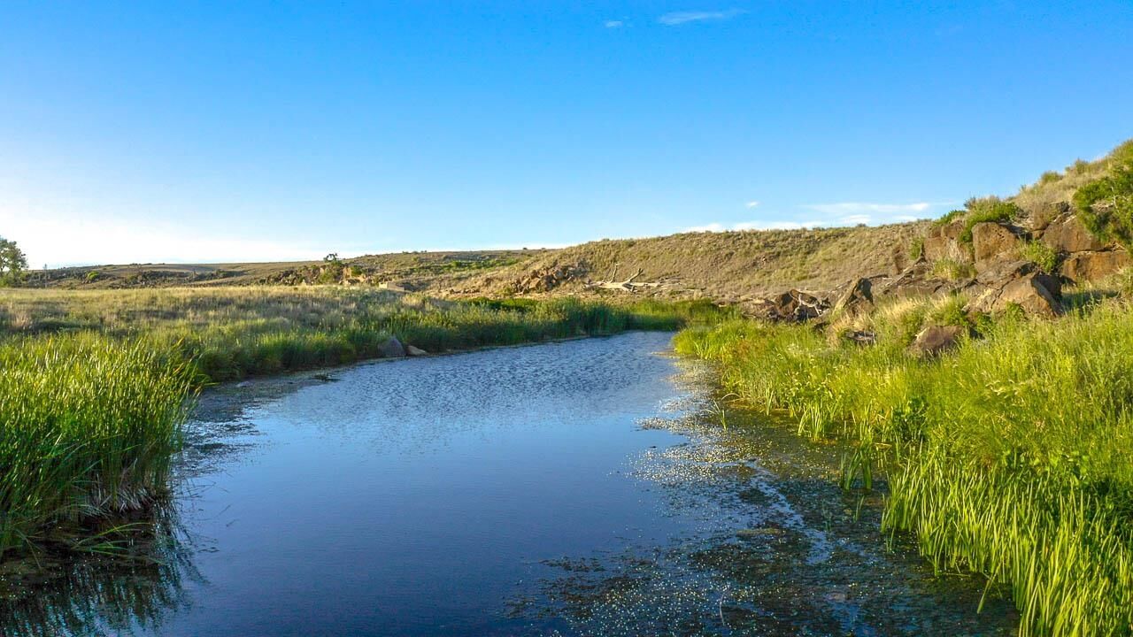 Property Photo: 107 Bullard Road NM 88422