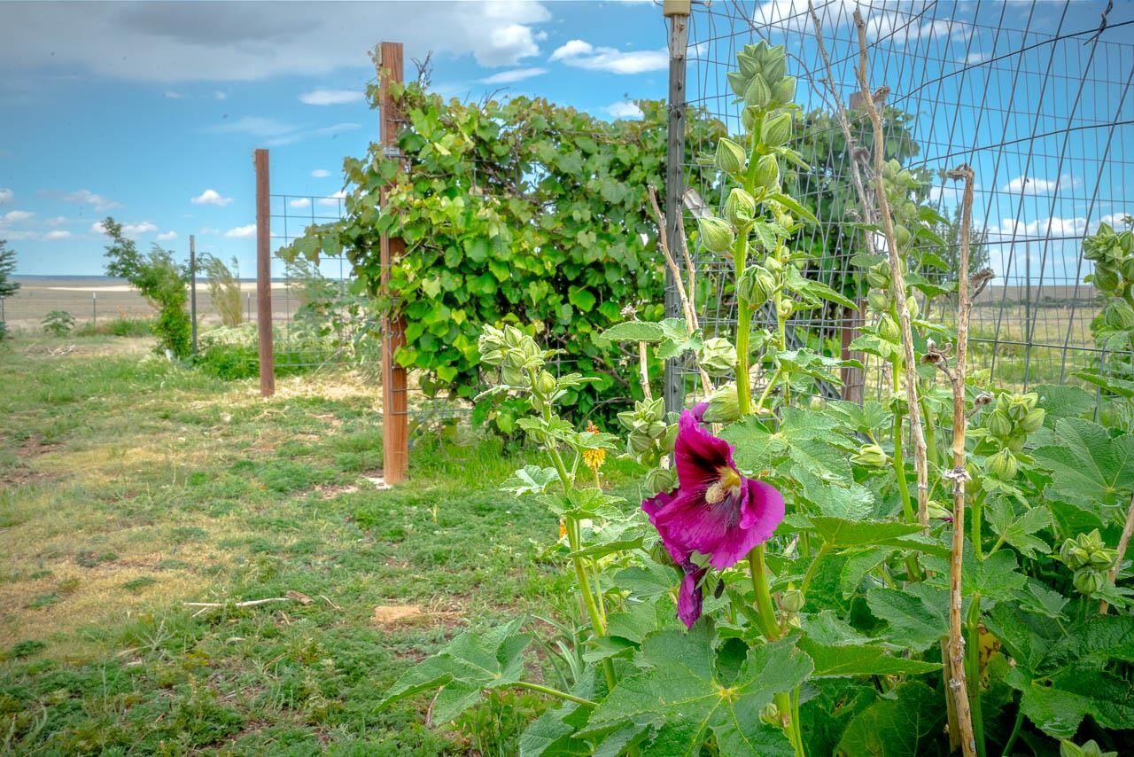 Property Photo:  107 Bullard Road  NM 88422 