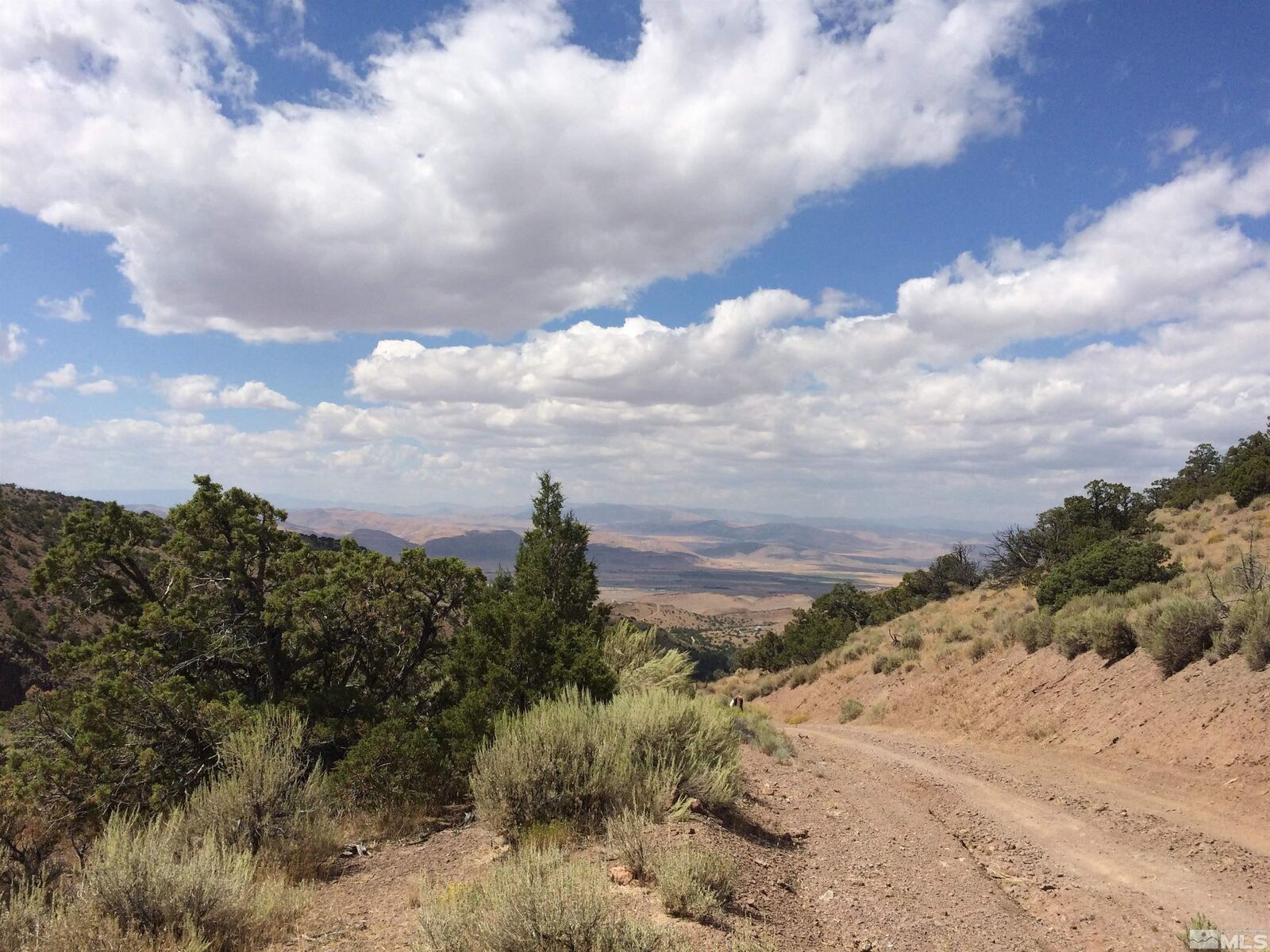 Property Photo:  2300 Piute Creek Road 44  NV 89510 