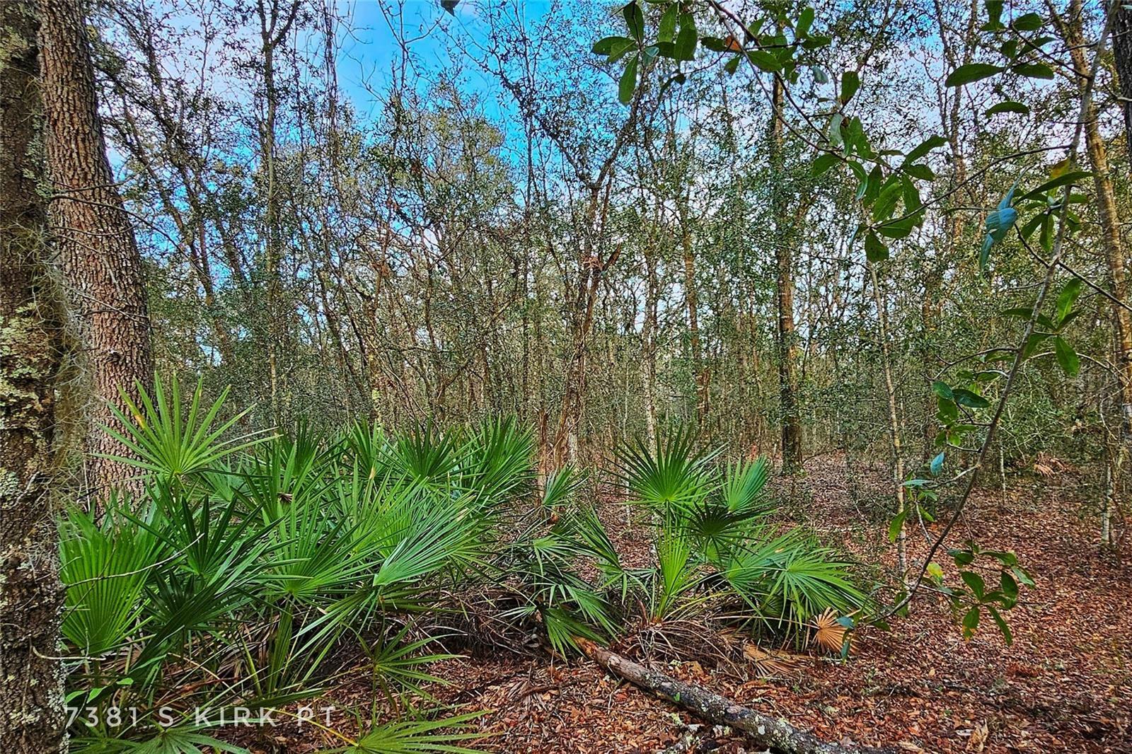 Property Photo:  7381 S Kirk Point  FL 34461 