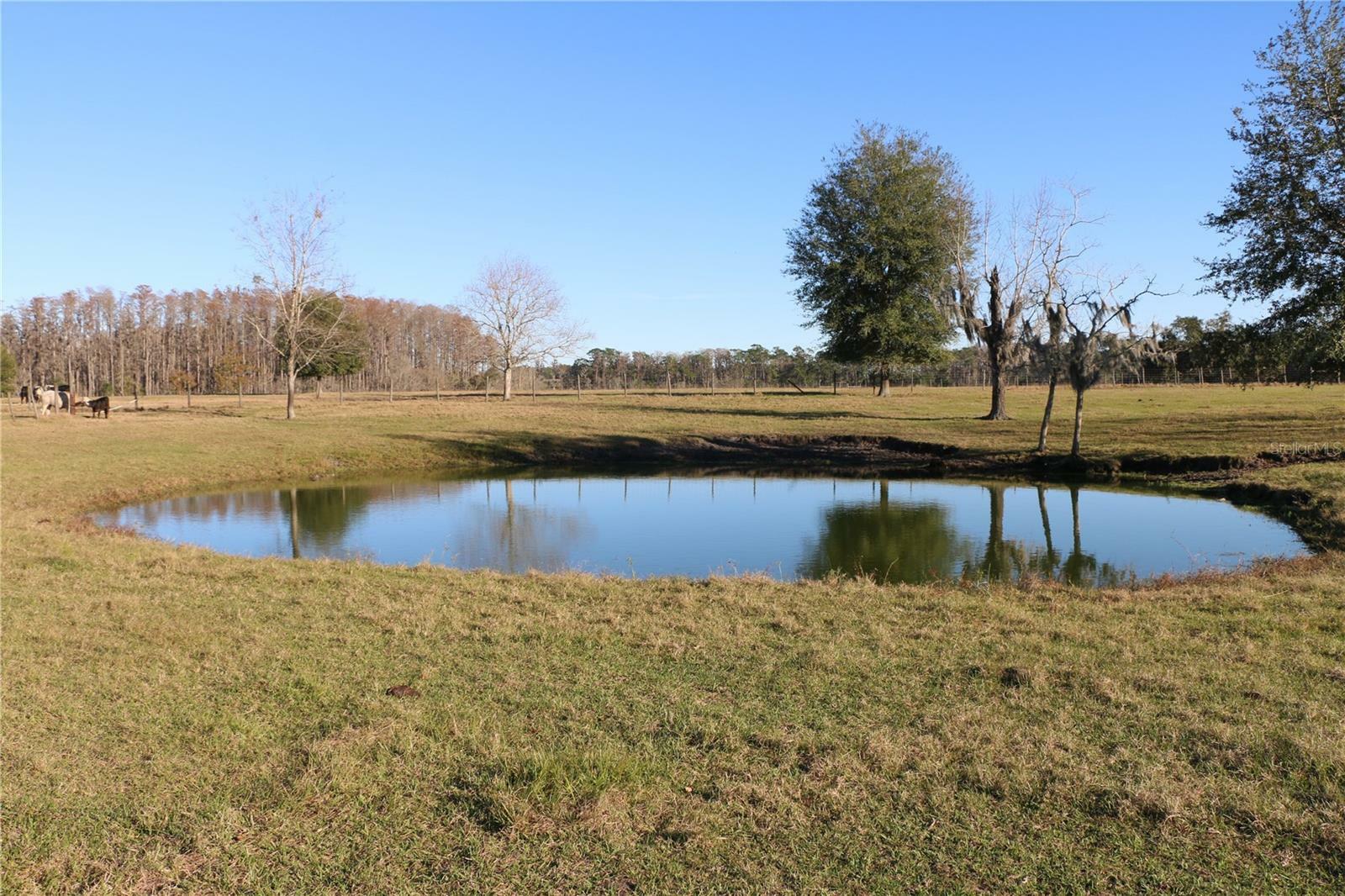 Property Photo:  4922 Mount Pleasant Road  FL 34736 