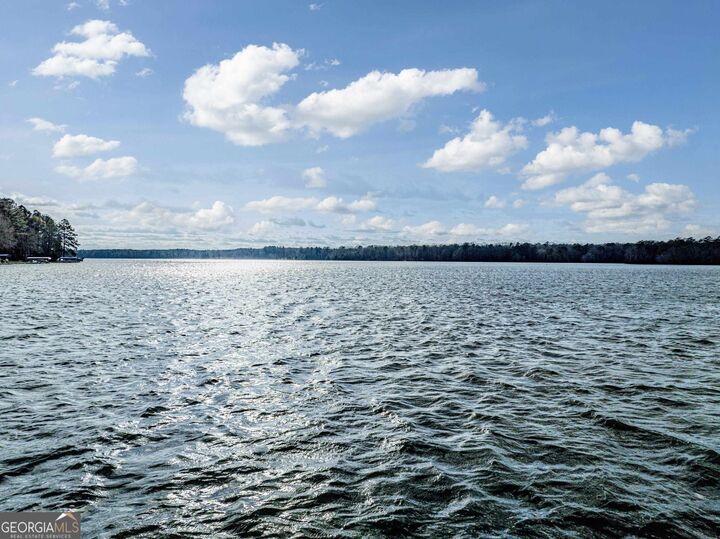 1220 Parks Mill Trace  Greensboro GA 30642 photo