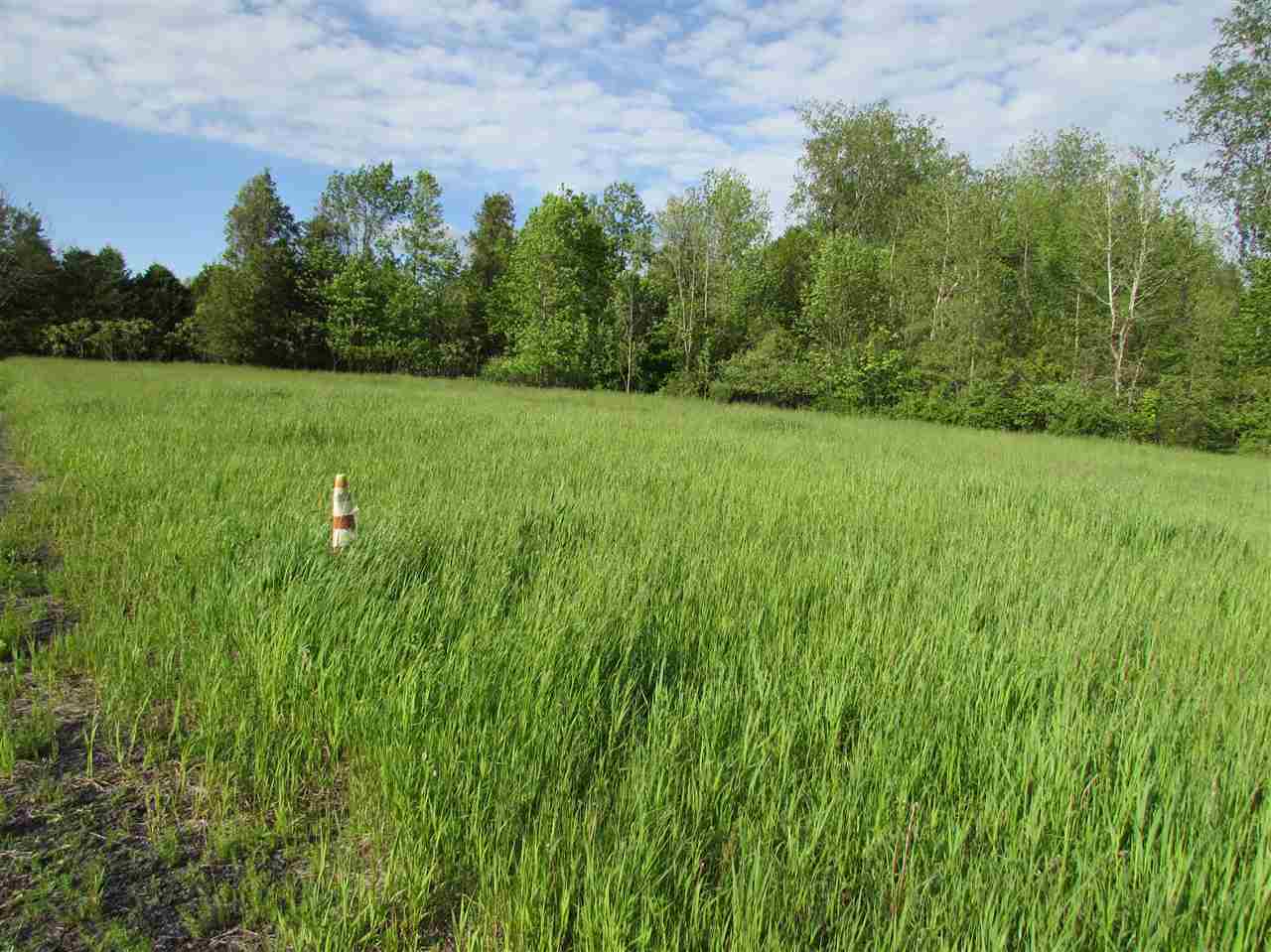 Property Photo:  School Street  VT 05463 