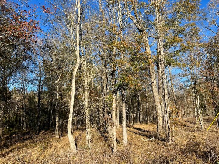 Property Photo: 2945 Fm 2246 TX 77612