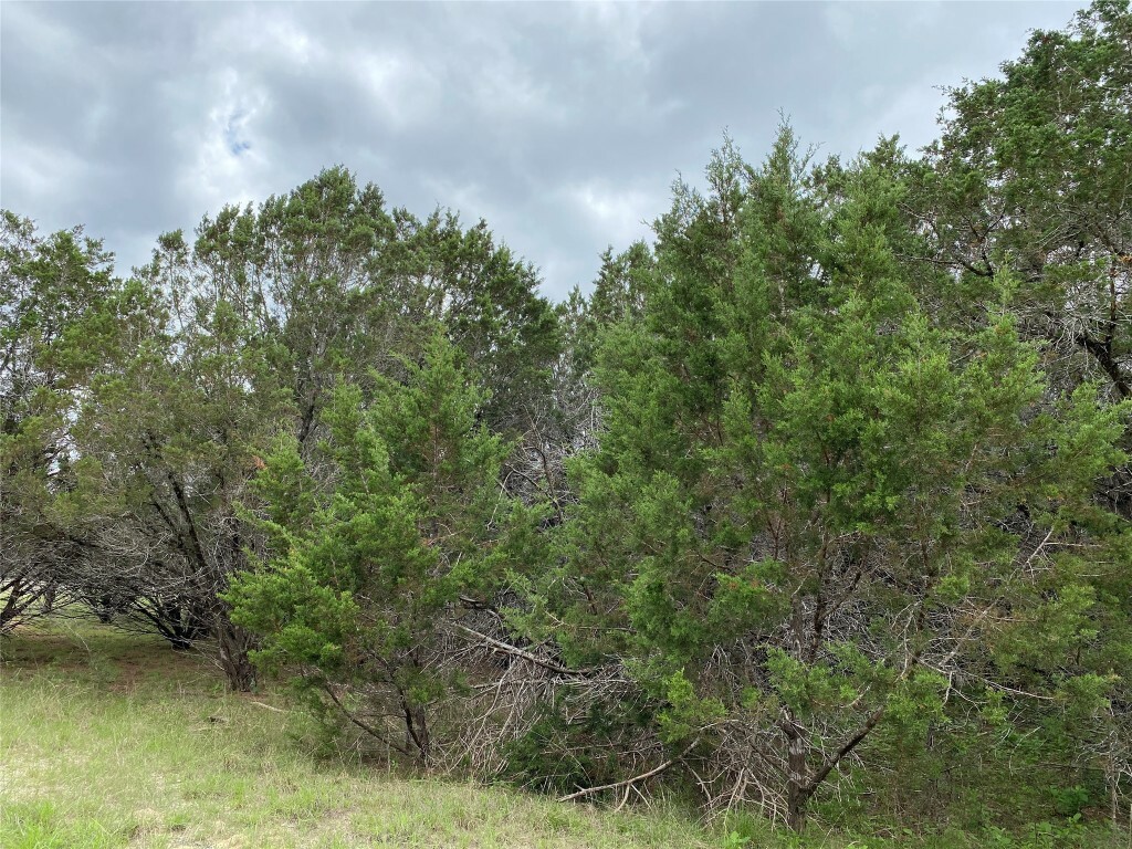 Property Photo:  9 Quiet Meadow Circle  TX 78676 