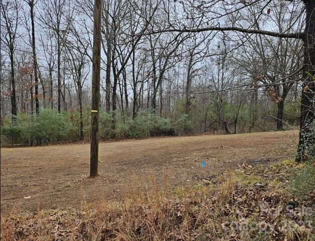 Property Photo:  2520 Wildwood Drive  NC 28150 