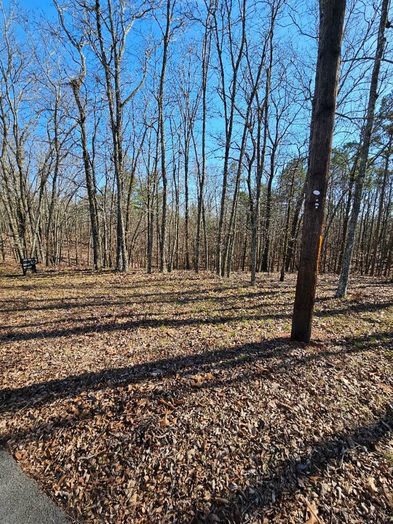 Property Photo:  Blk 03 Lot 05 Mountain Ridge Drive  GA 31831 