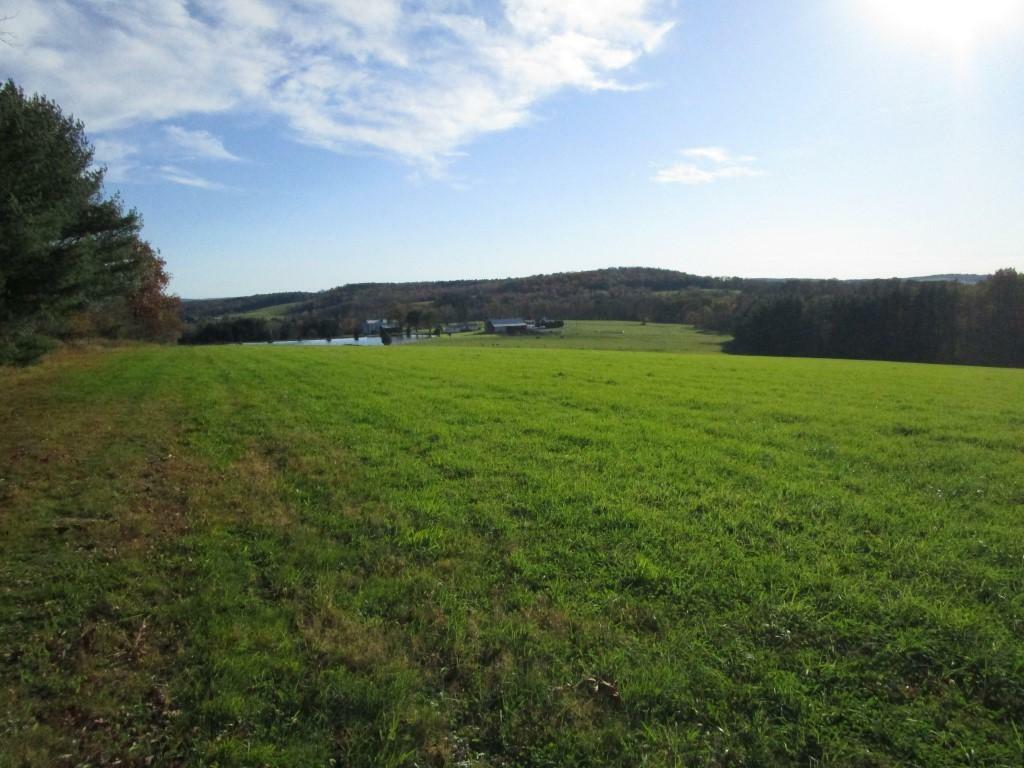 Property Photo:  00 Martin Road  NY 13778 