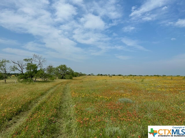 Property Photo:  1683 County Road 533  TX 76880 