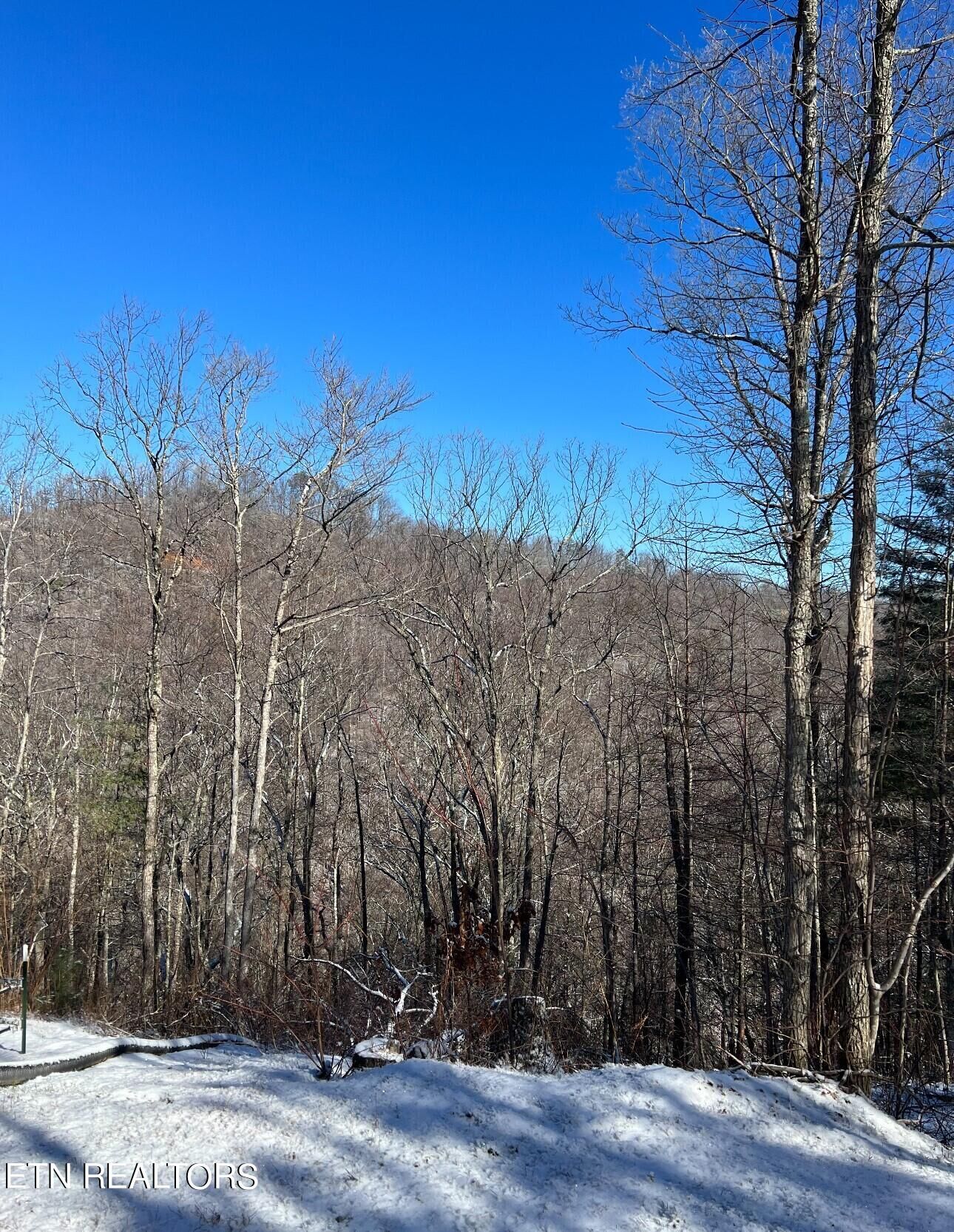 Property Photo:  Rubicon Ridge Rd  TN 37862 