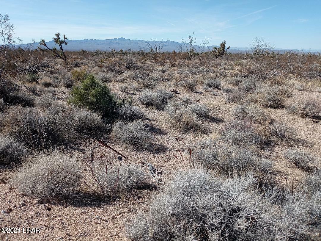 Property Photo: Parcel 439 S Tom Mix Road AZ 86438