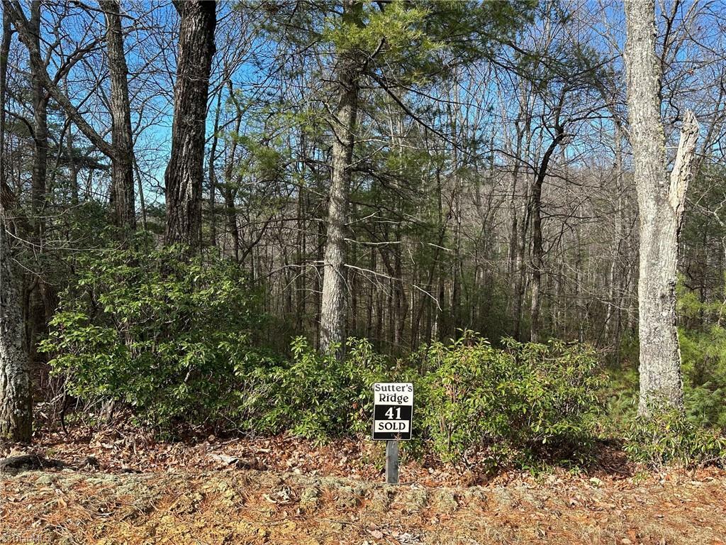 Property Photo:  Lot 41 Sutters Ridge Road  NC 28649 