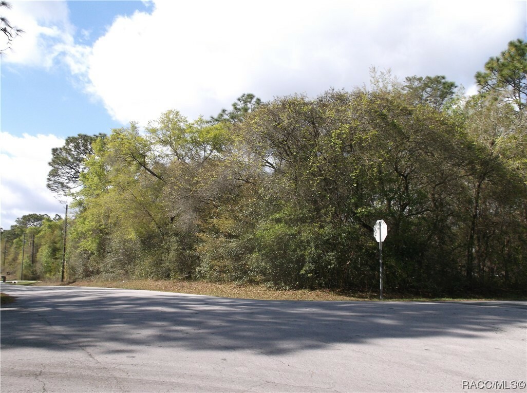 Property Photo:  364 N Dugan Avenue  FL 34453 