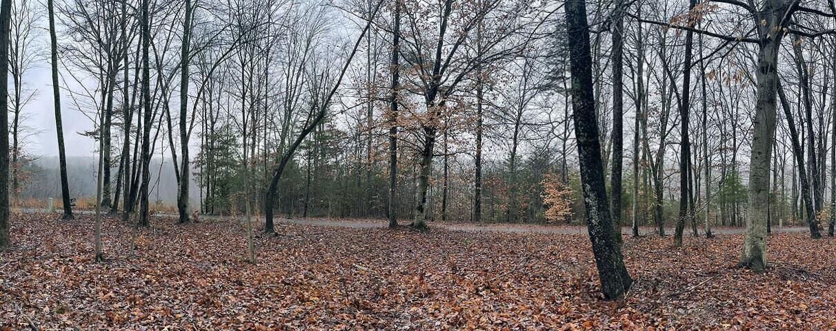 Property Photo: Lot 87 Stillwater KY 42642