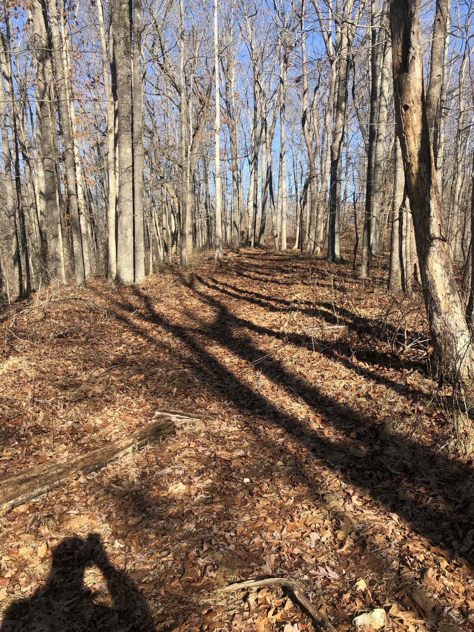 Property Photo:  0 Phillips Hollow Rd  TN 37186 